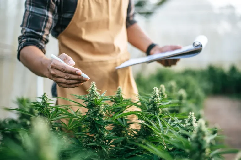 Ohio Medical Marijuana Laws — Everything You Should Know