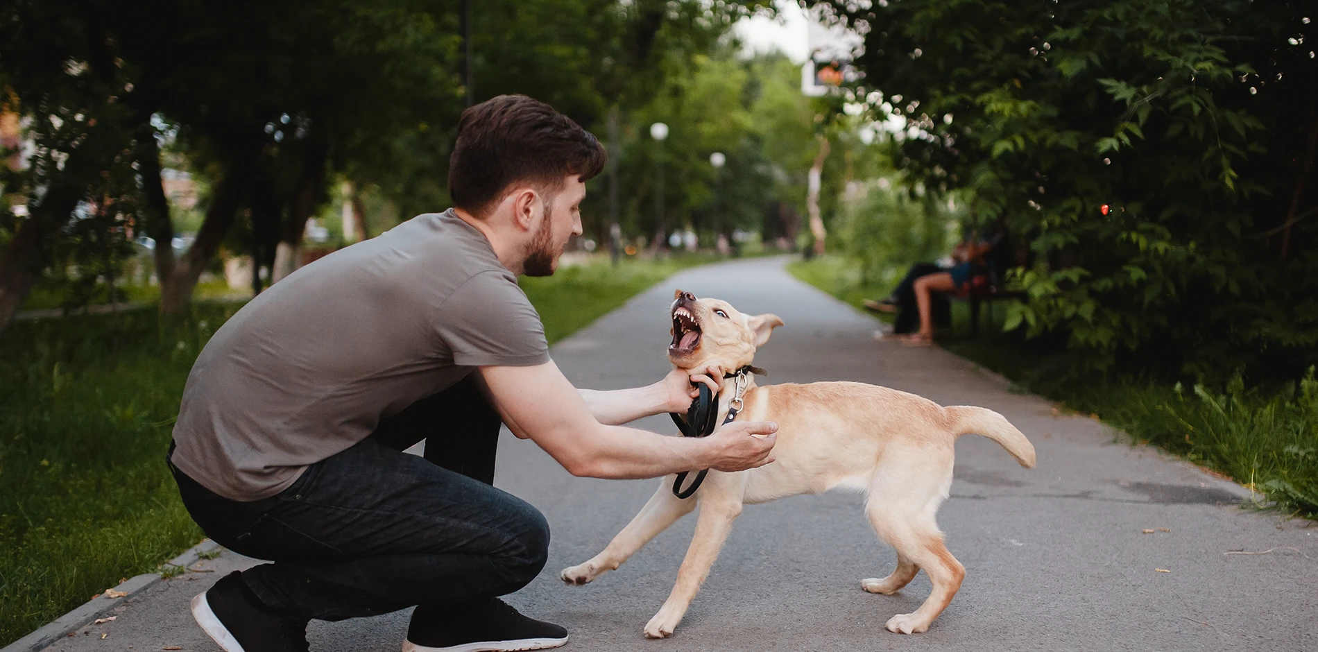 A man kneels, restraining a snarling dog by its leash on a paved park path.